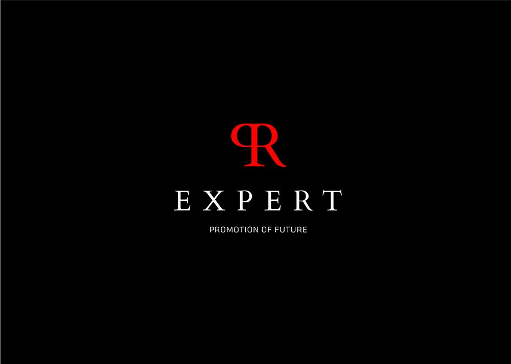 Логотип для компании PR Expert - дизайнер sviaznoyy
