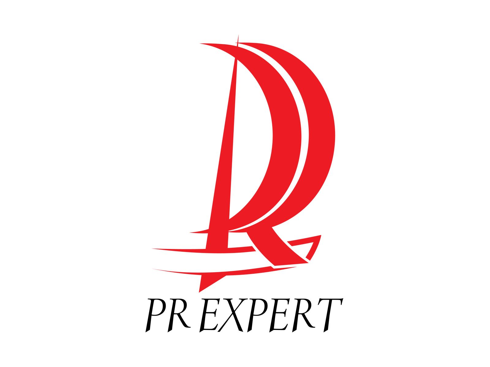 Логотип для компании PR Expert - дизайнер vision