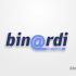 Логотип веб-студии binardi - дизайнер Alphir