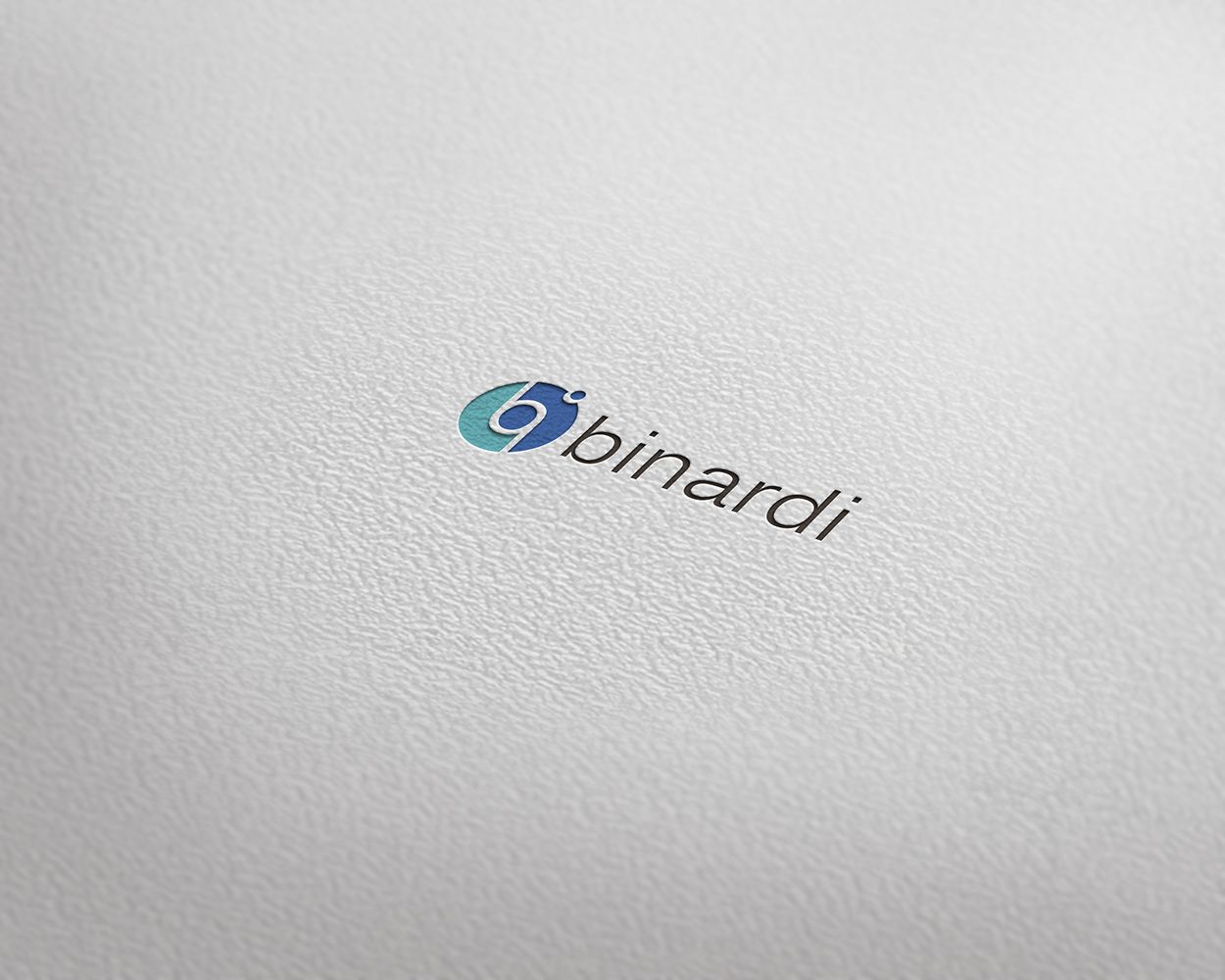 Логотип веб-студии binardi - дизайнер Slon