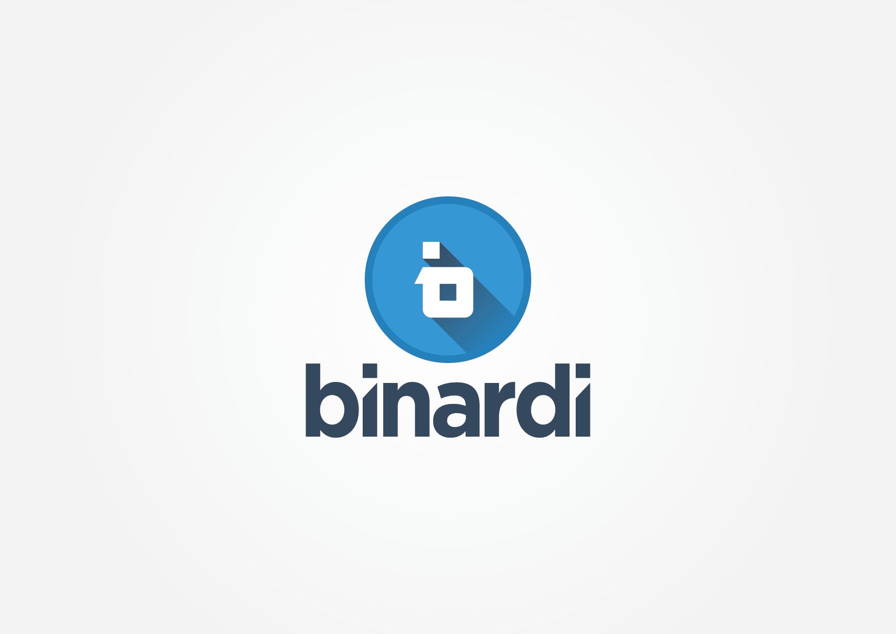 Логотип веб-студии binardi - дизайнер Krupicki