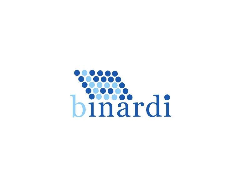 Логотип веб-студии binardi - дизайнер imanka