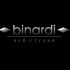 Логотип веб-студии binardi - дизайнер AlekseyAl