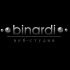 Логотип веб-студии binardi - дизайнер AlekseyAl