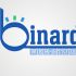 Логотип веб-студии binardi - дизайнер vadimuch-1