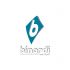 Логотип веб-студии binardi - дизайнер Demonyk