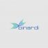Логотип веб-студии binardi - дизайнер Domtro
