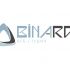 Логотип веб-студии binardi - дизайнер nat-396