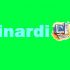 Логотип веб-студии binardi - дизайнер korrell