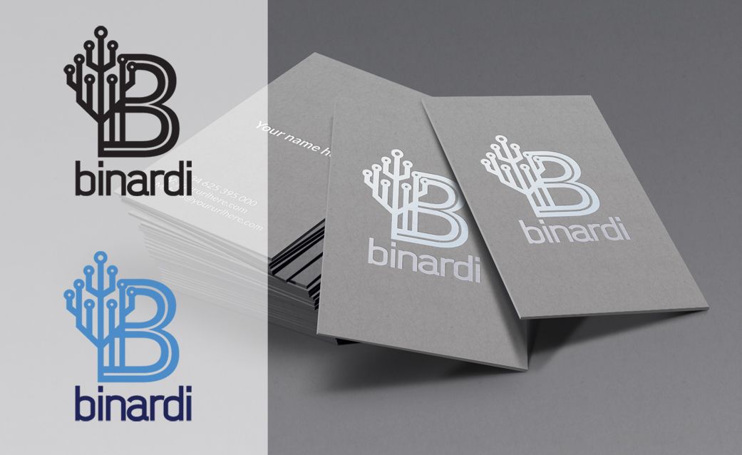 Логотип веб-студии binardi - дизайнер Geyzerrr