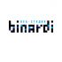 Логотип веб-студии binardi - дизайнер studiodivan