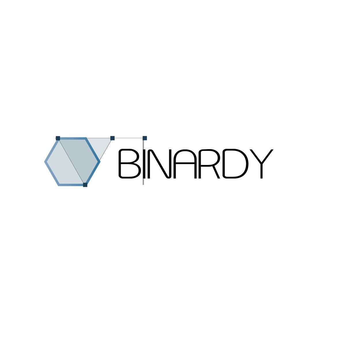 Логотип веб-студии binardi - дизайнер Juliana_Iohm