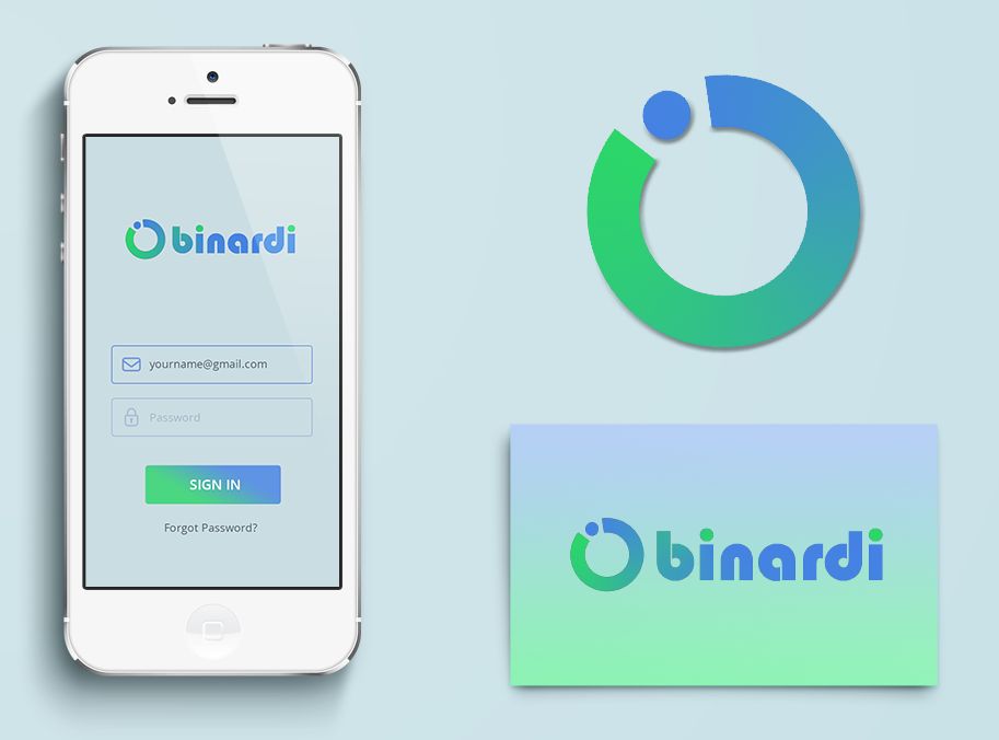 Логотип веб-студии binardi - дизайнер alexprozoroff