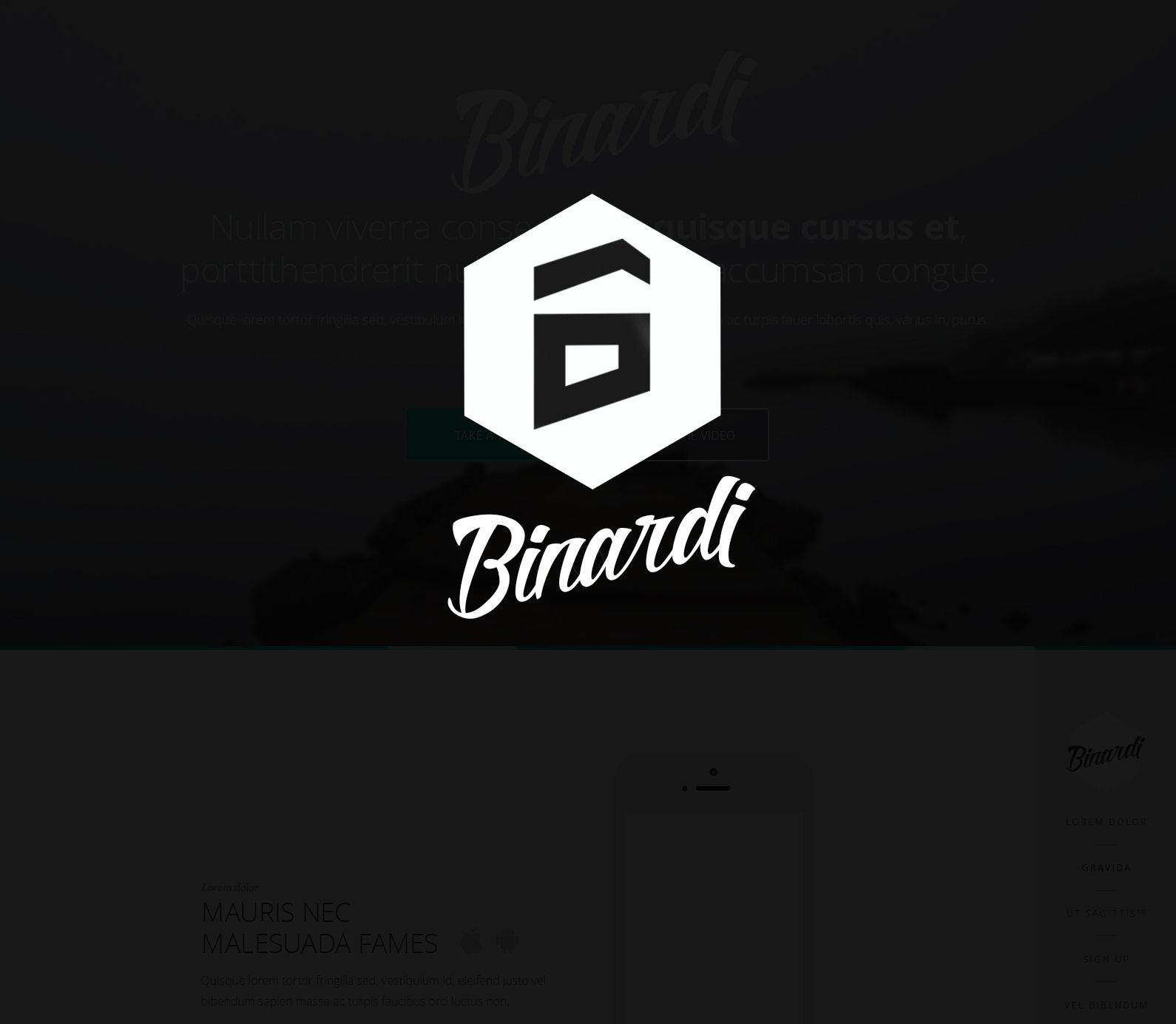 Логотип веб-студии binardi - дизайнер Greitos