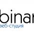 Логотип веб-студии binardi - дизайнер vadimuch-1