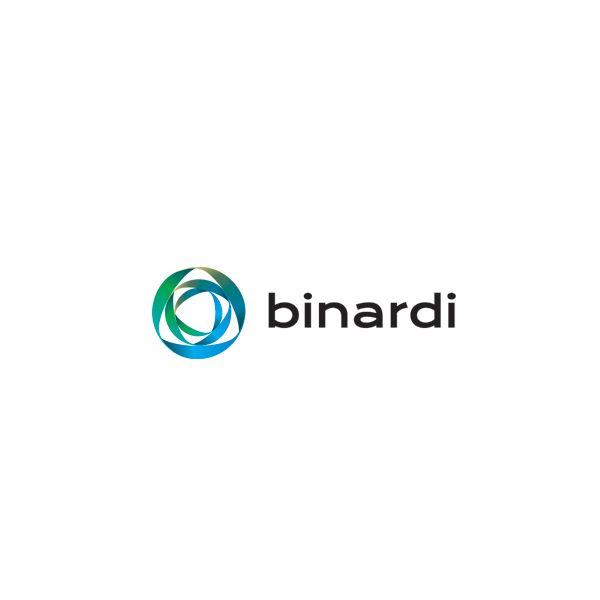 Логотип веб-студии binardi - дизайнер Dromara