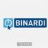 Логотип веб-студии binardi - дизайнер 19_andrey_66