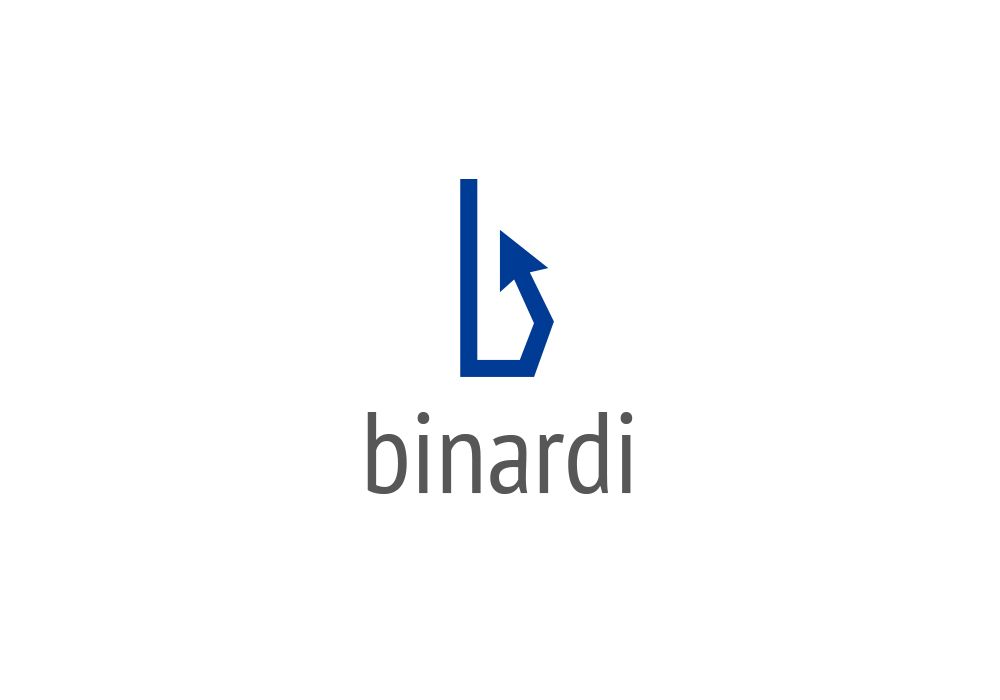 Логотип веб-студии binardi - дизайнер Fedot