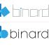 Логотип веб-студии binardi - дизайнер vaber