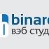Логотип веб-студии binardi - дизайнер CBOJIO4b
