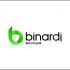 Логотип веб-студии binardi - дизайнер parabellulum
