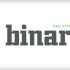 Логотип веб-студии binardi - дизайнер R-A-M