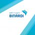 Логотип веб-студии binardi - дизайнер Massover
