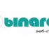 Логотип веб-студии binardi - дизайнер okspolia