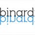 Логотип веб-студии binardi - дизайнер skavronski