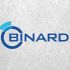 Логотип веб-студии binardi - дизайнер Scorp