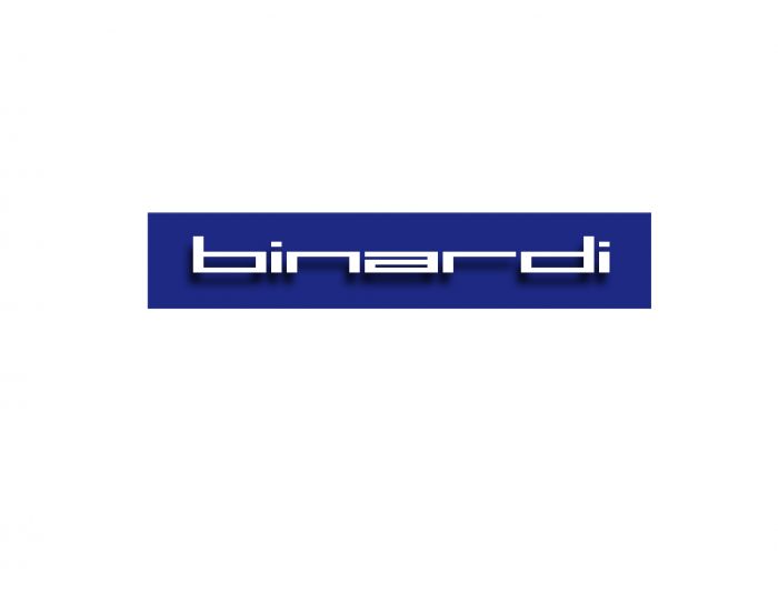 Логотип веб-студии binardi - дизайнер Leonardo