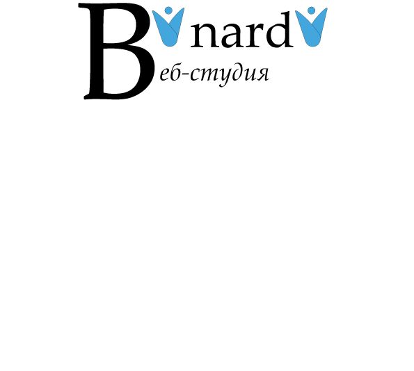 Логотип веб-студии binardi - дизайнер gvaleriya