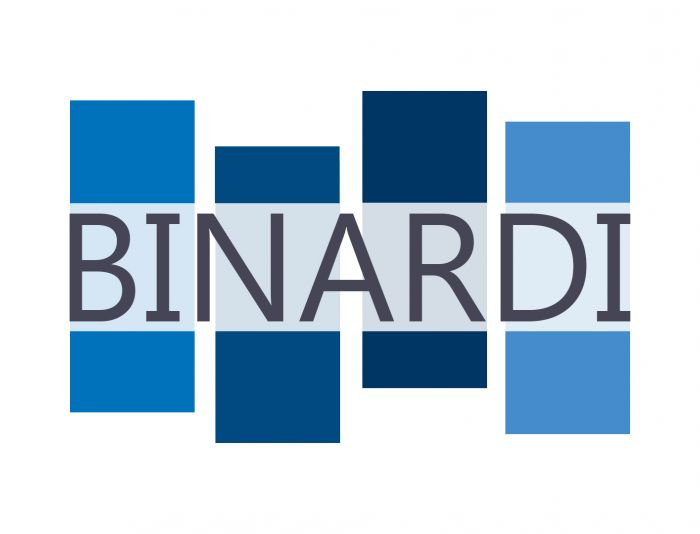 Логотип веб-студии binardi - дизайнер MrJoneck