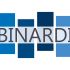 Логотип веб-студии binardi - дизайнер MrJoneck