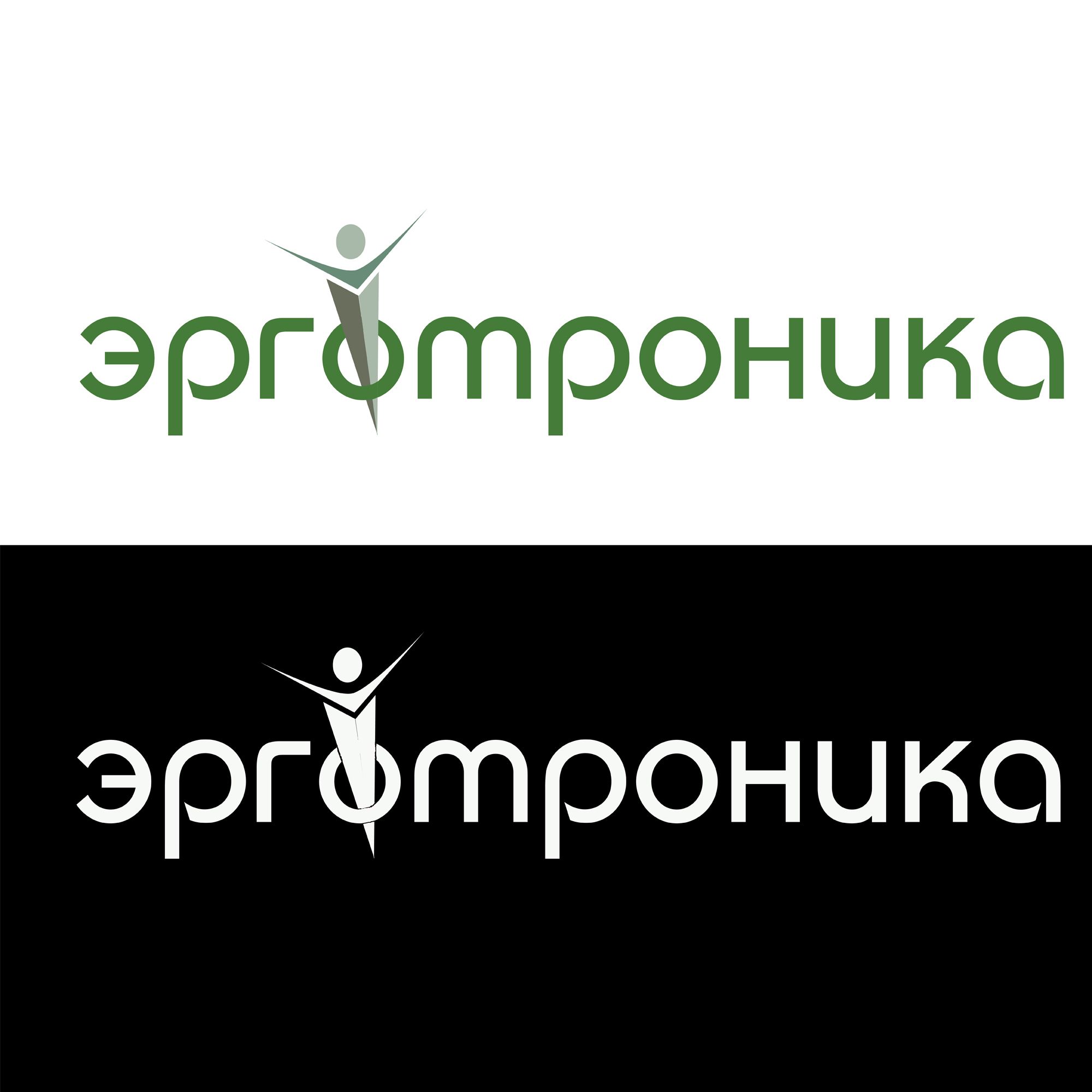 Логотип для интернет-магазина эргономики - дизайнер atmannn