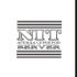 Логотип компании NITserver - аренда серверов - дизайнер dany77
