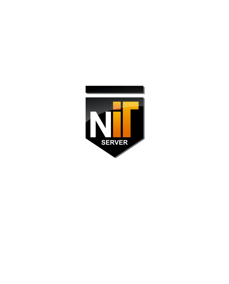 Логотип компании NITserver - аренда серверов - дизайнер NataVav25
