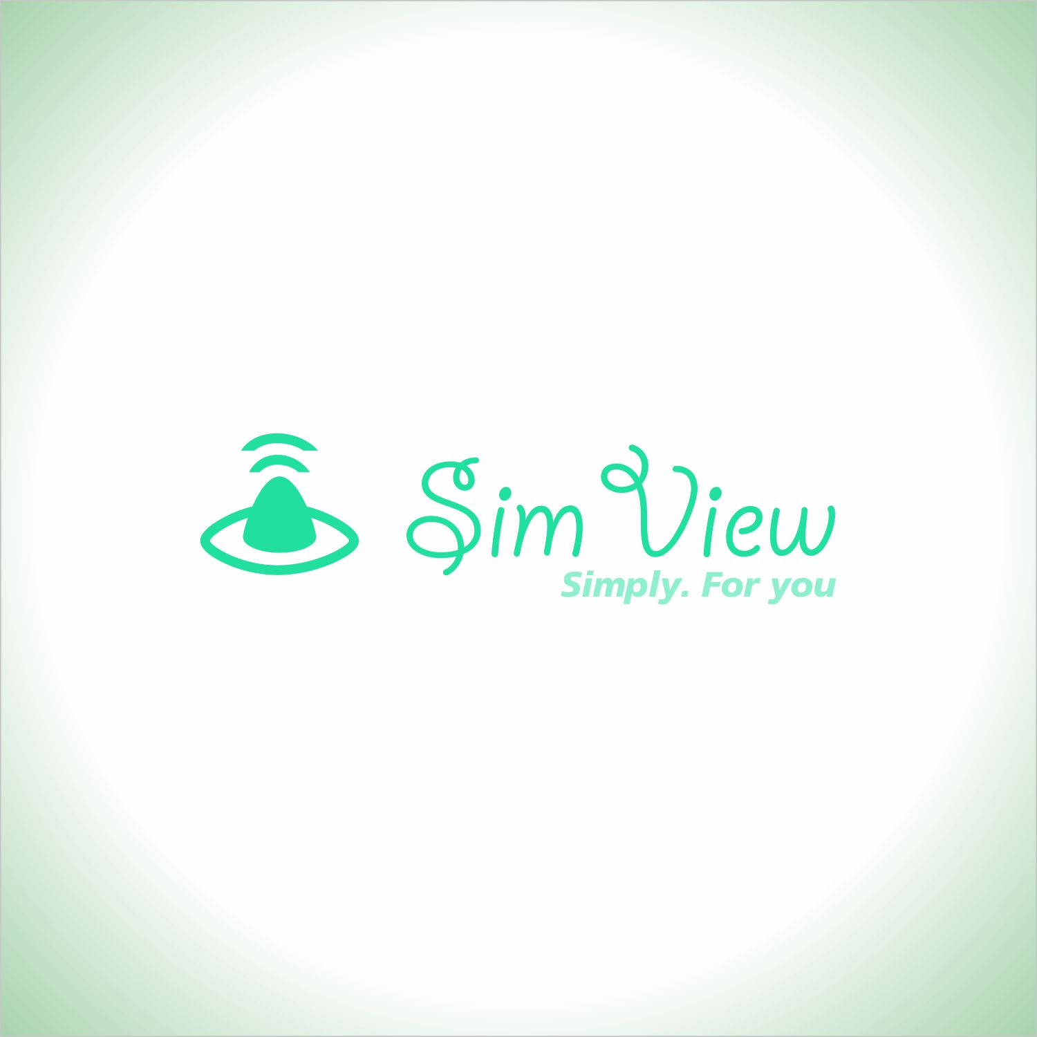 SimView лого и фирменный стиль - дизайнер ViperW