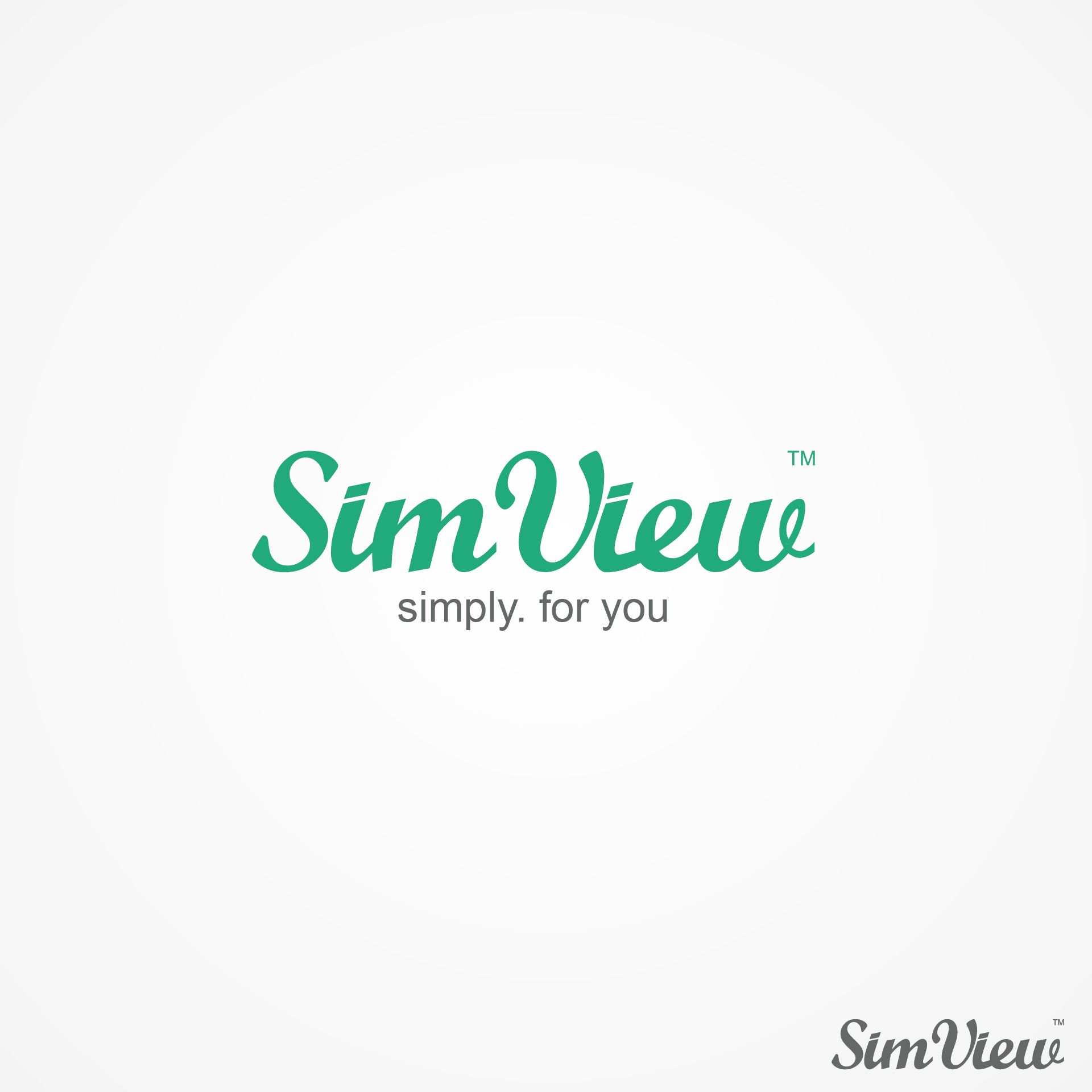 SimView лого и фирменный стиль - дизайнер alpine-gold