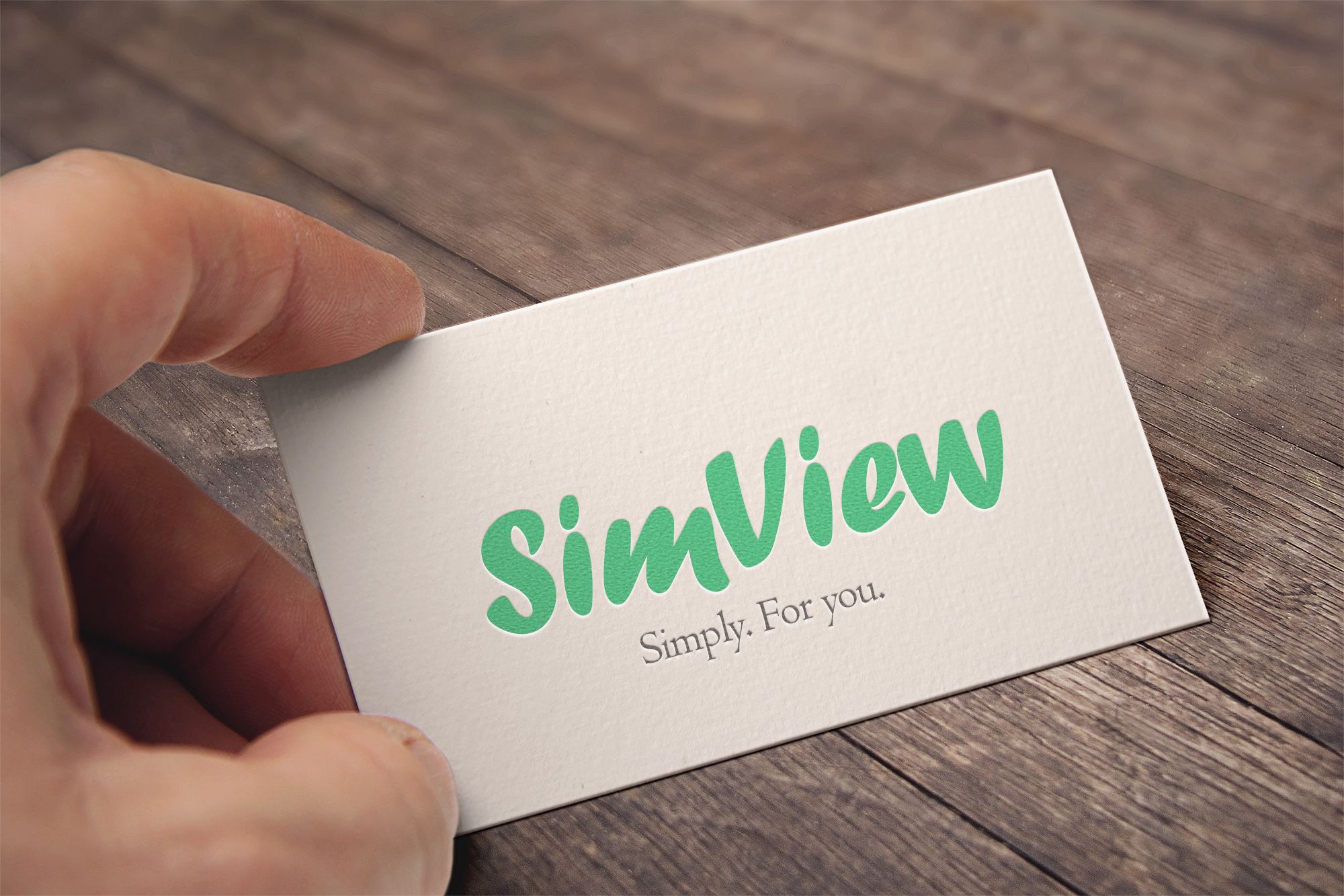 SimView лого и фирменный стиль - дизайнер Selinka