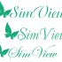 SimView лого и фирменный стиль - дизайнер TerWeb