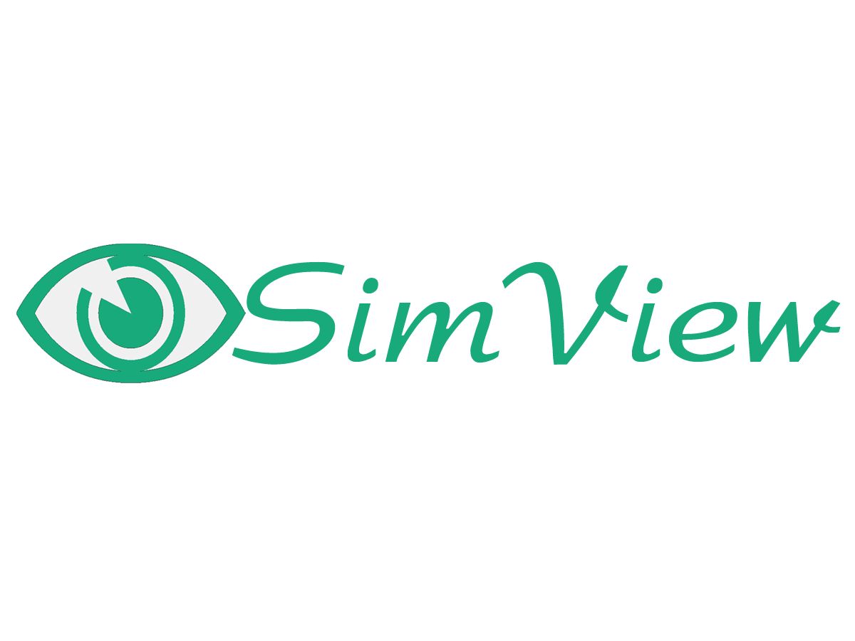 SimView лого и фирменный стиль - дизайнер Super-Style