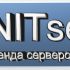 Логотип компании NITserver - аренда серверов - дизайнер ralton4334
