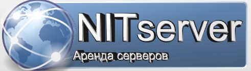 Логотип компании NITserver - аренда серверов - дизайнер ralton4334
