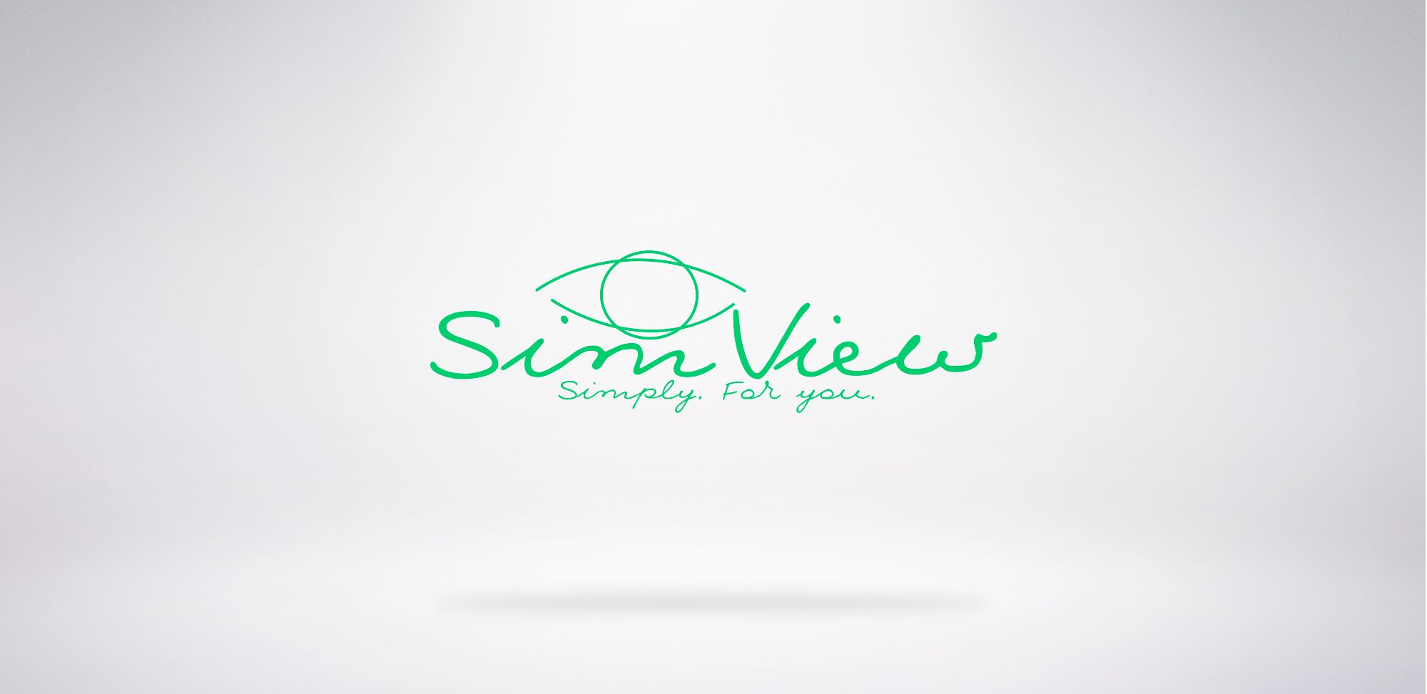 SimView лого и фирменный стиль - дизайнер dimkoops