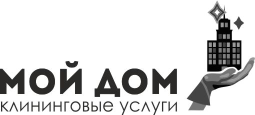 Логотип клининговой компании - дизайнер Polpot