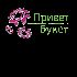 Логотип для цветочного бутика - дизайнер gvaleriya