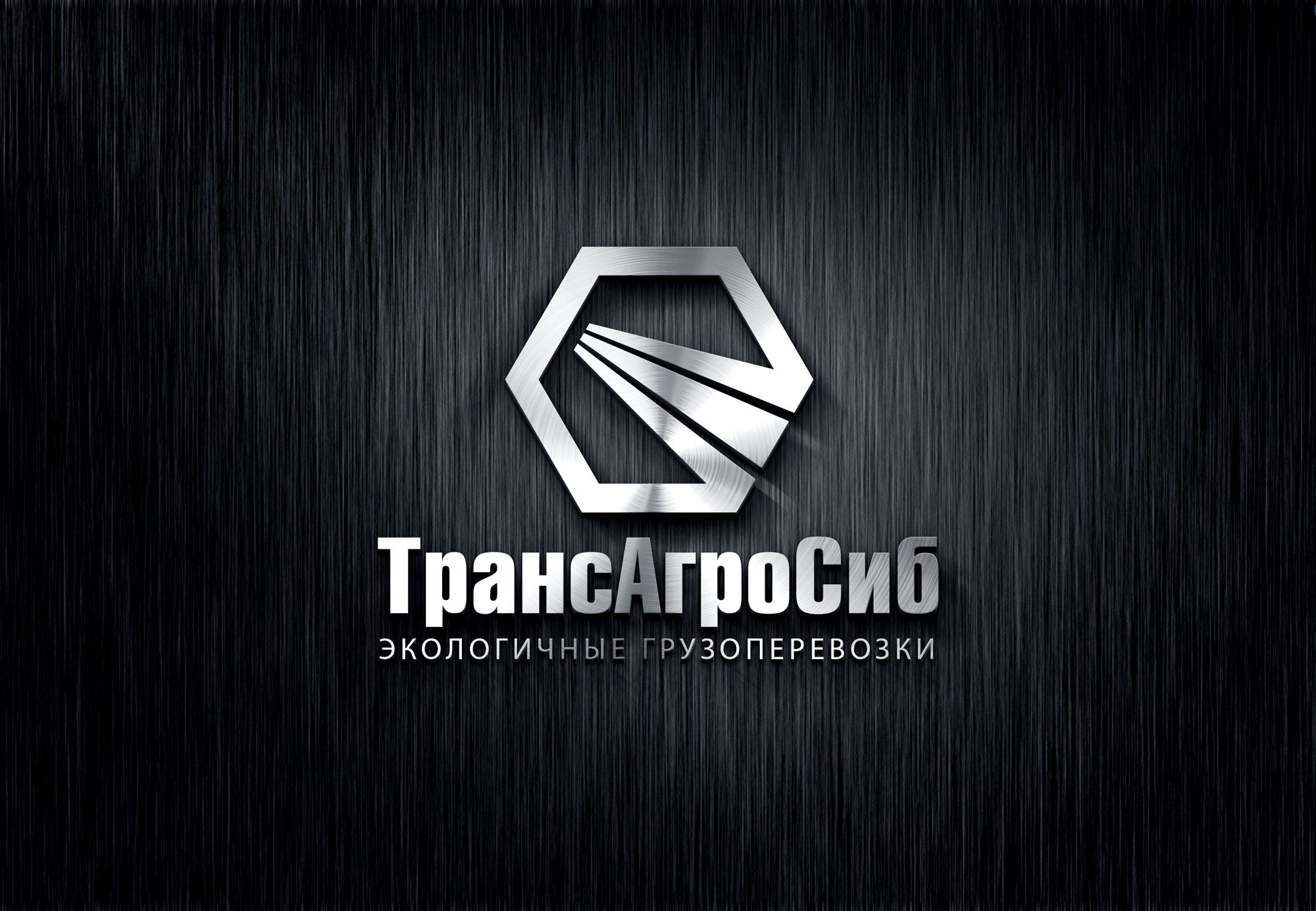 Создание логотипа транспортной компании - дизайнер Alphir
