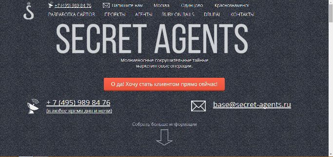 Логотип для веб-разработчика Secret Agents - дизайнер Diostaples