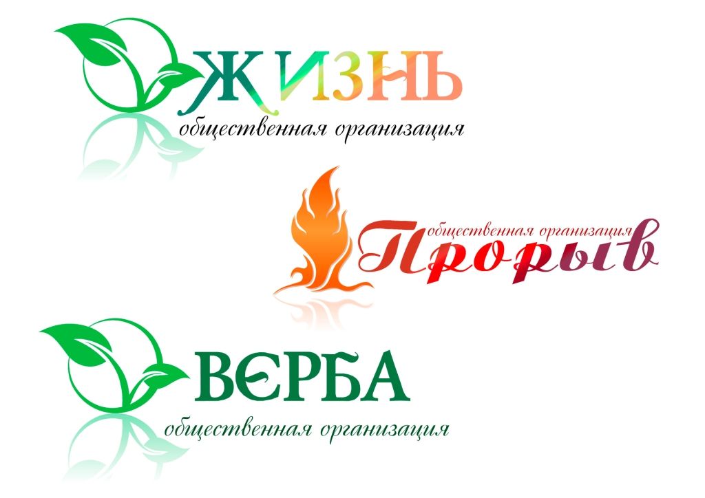 Логотип для общественной организации - дизайнер imax_82m